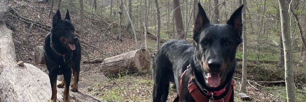 dhume Profile Banner