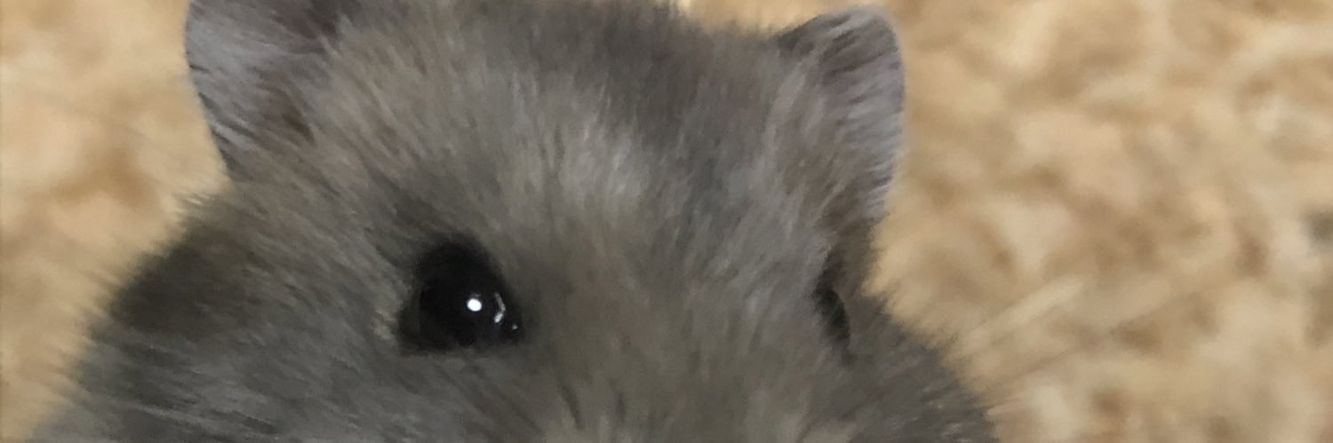 hamanayuu's profile banner image