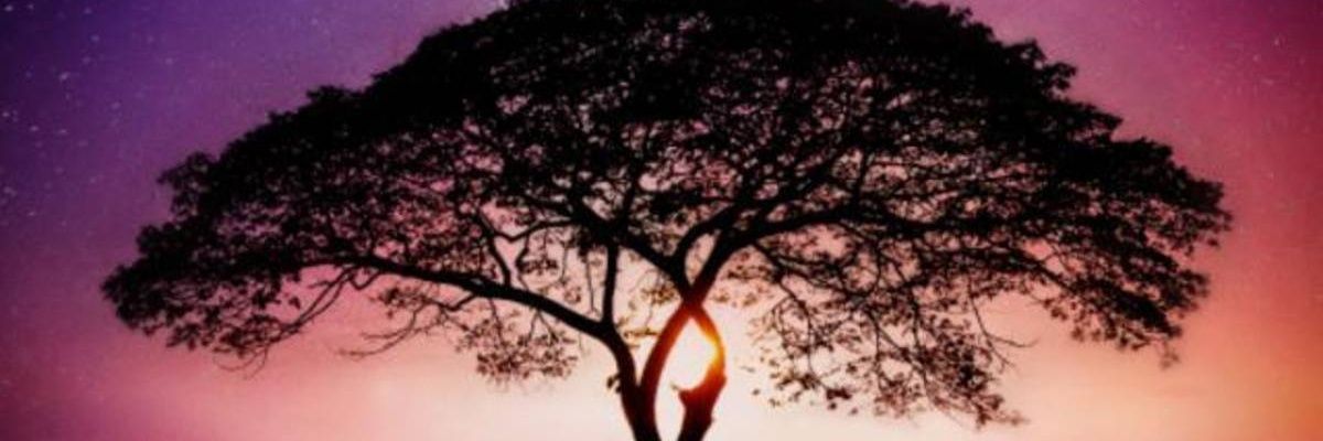 JessiMoya's profile banner image