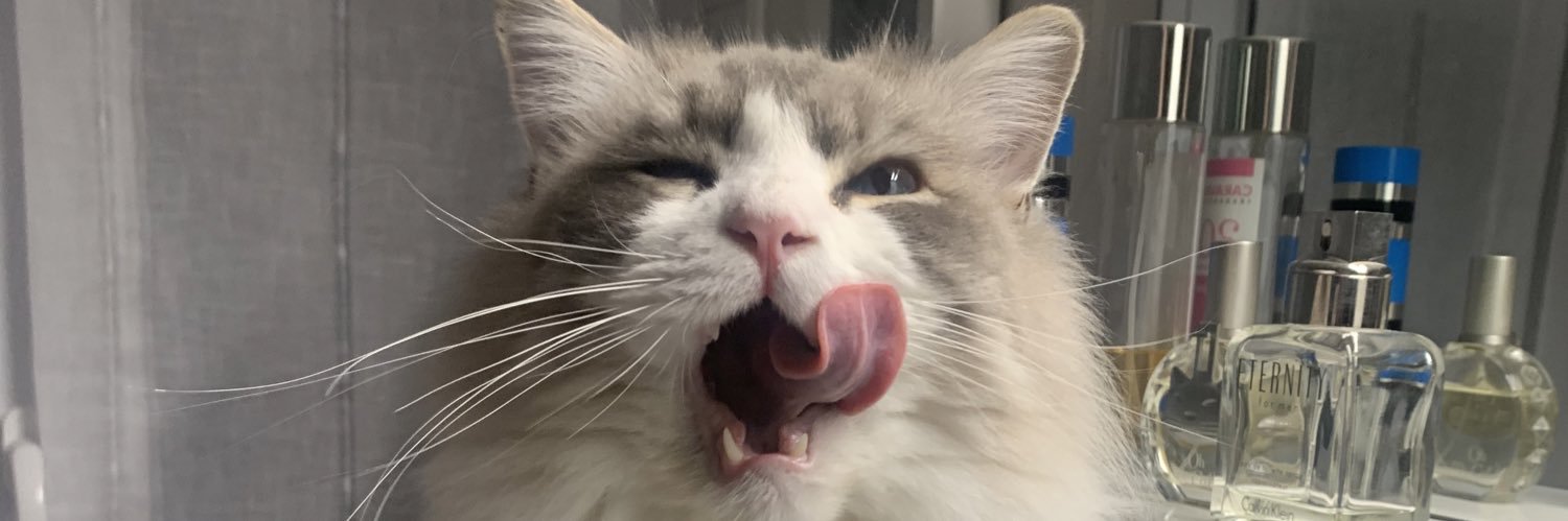 José Antonio 💜🍉 banner