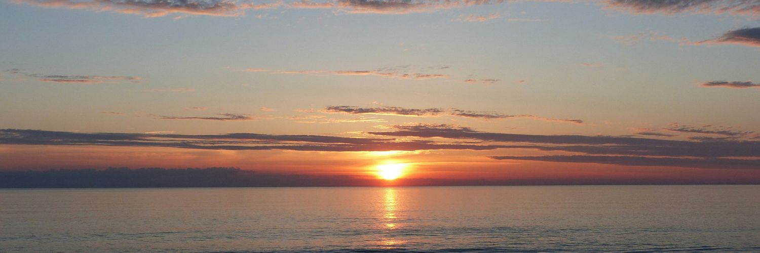 pechalicata26's profile banner image