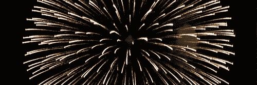 Willi Lauterjung banner