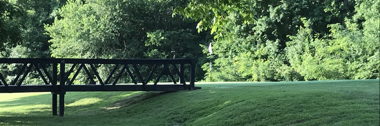 AliceCreque's profile banner image