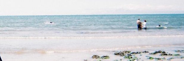 sagako0302's profile banner image