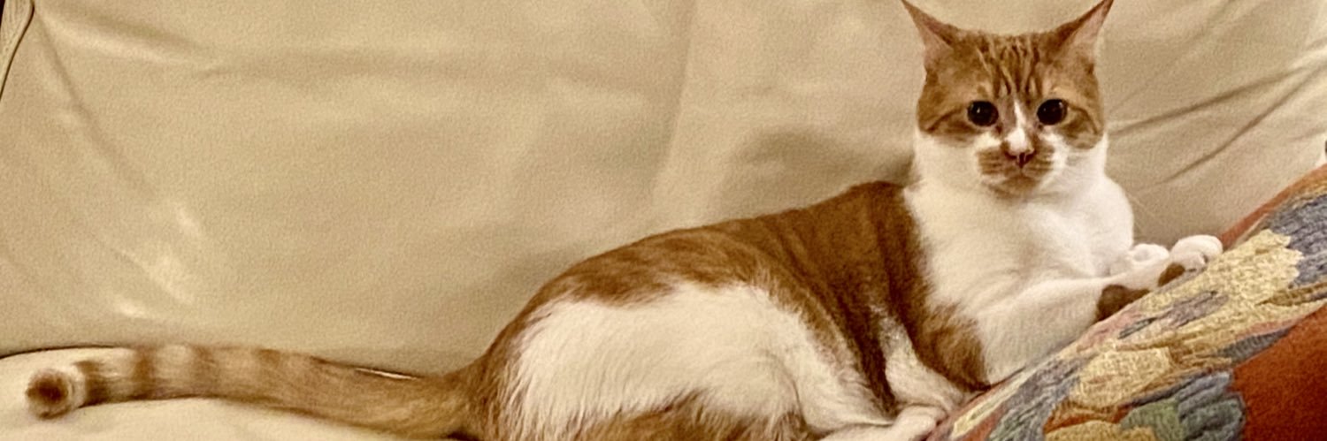 CynthiaBatty's profile banner image