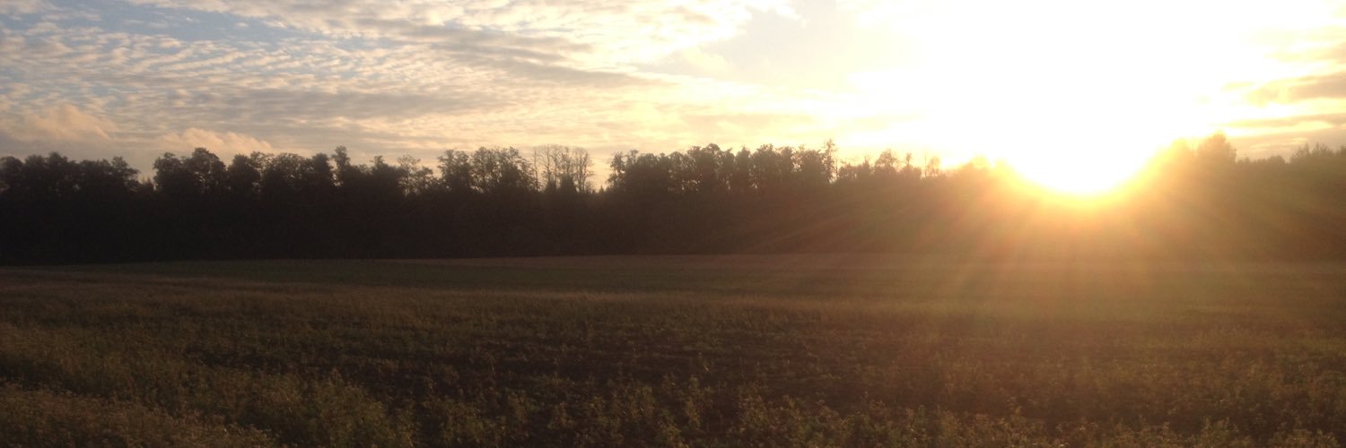 tonymld's profile banner image