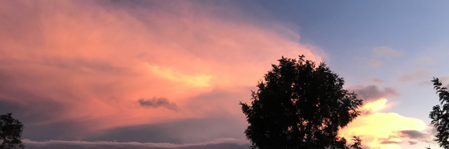 Sofi banner
