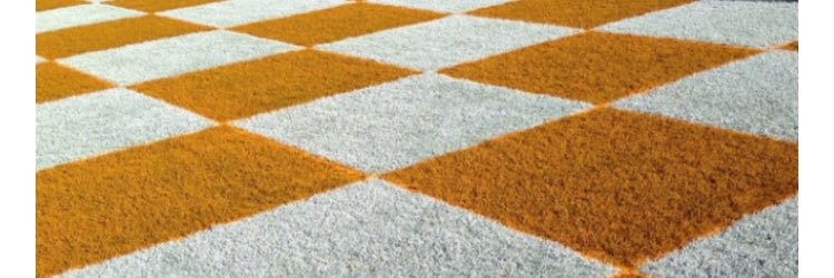 Leanne Utley banner