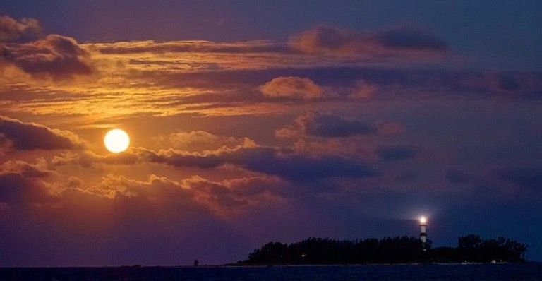 Elena Martínez M. banner