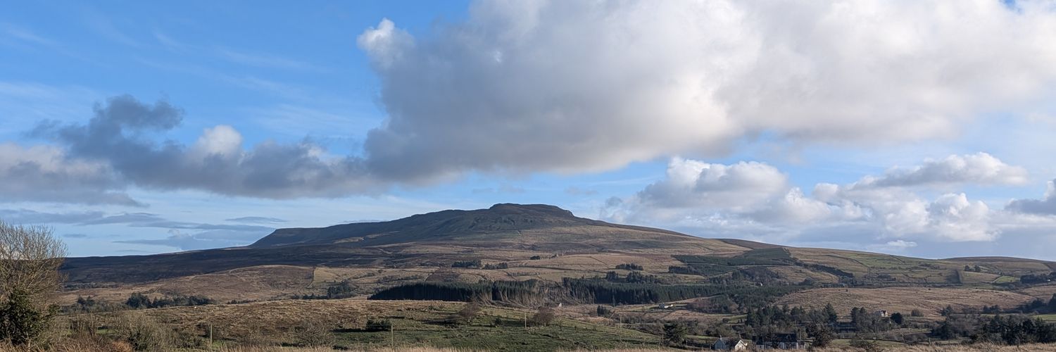 FeeMcManus's profile banner image