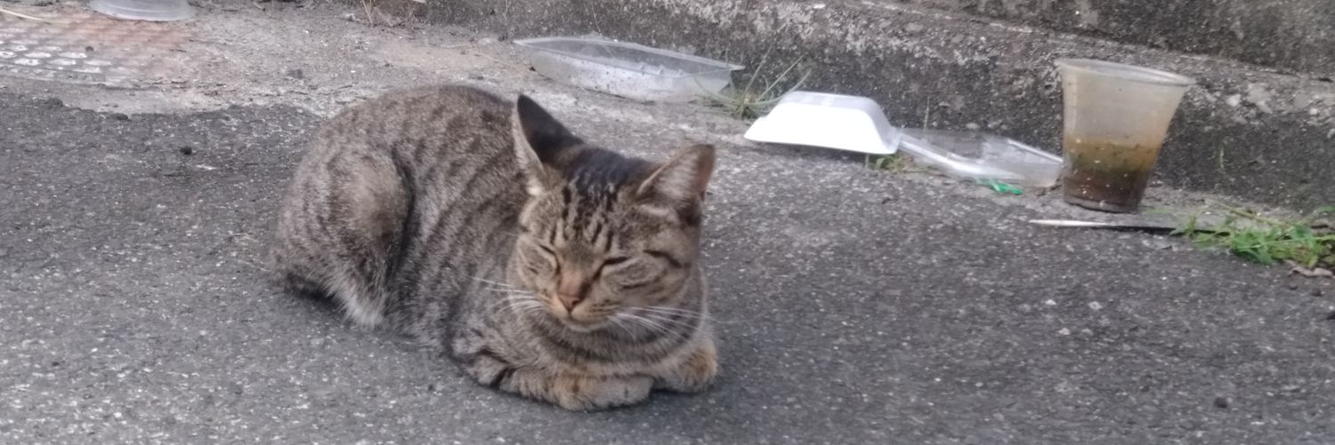 badcatmohu's profile banner image