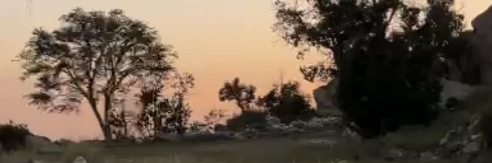 amesk900's profile banner image