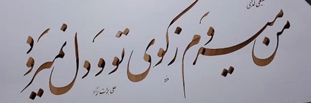 amirhadavi's profile banner image