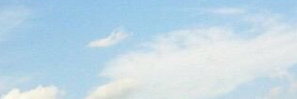 🎀 banner