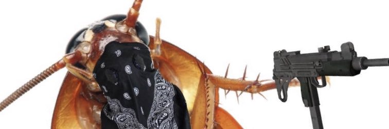 roachjonez's profile banner image
