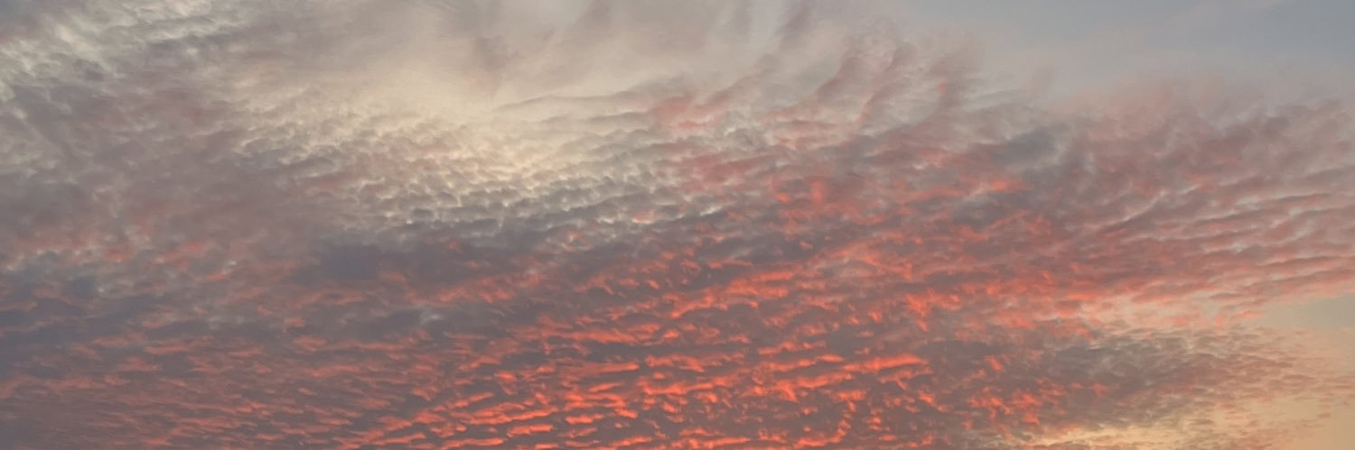 hrno604's profile banner image