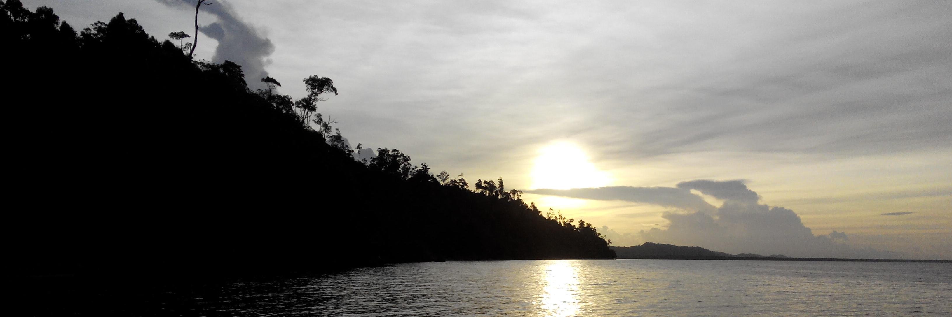 Introvesia's profile banner image