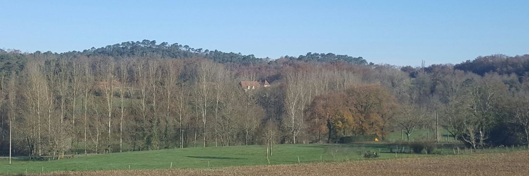 Bertrand Cocq banner