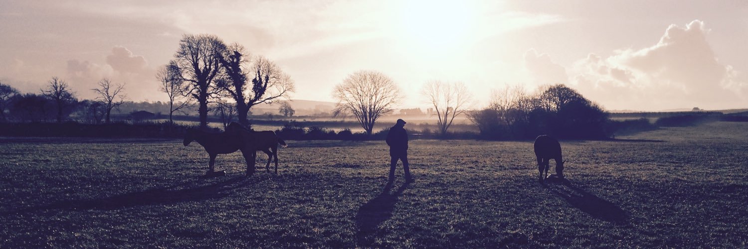 Fiona Mc Enery banner