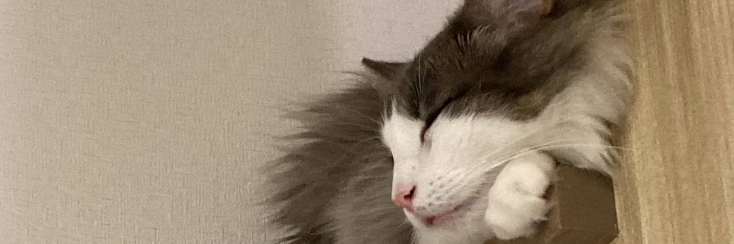 10veMinnie's profile banner image