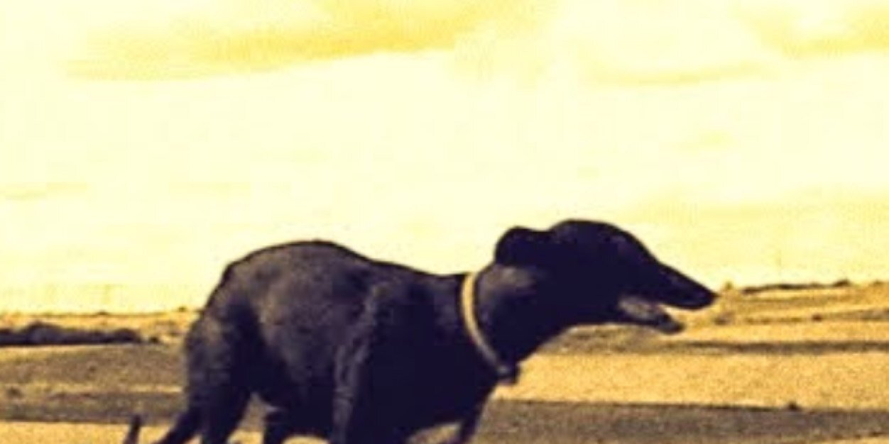 AngelLuisToled1's profile banner image