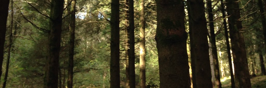 JenAger1's profile banner image