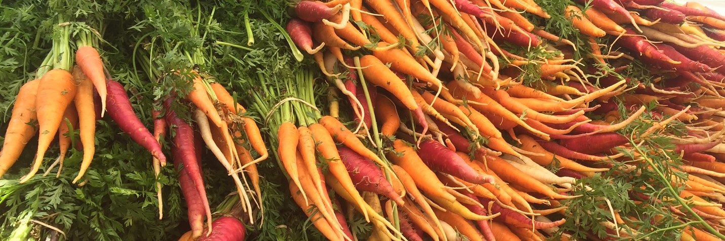 Chris and Amy White banner