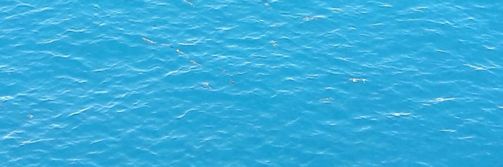 willydst's profile banner image