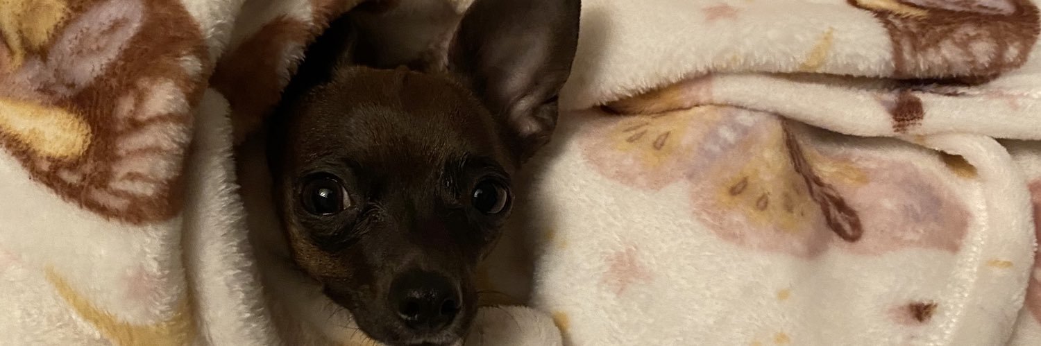 chelceeschatter's profile banner image