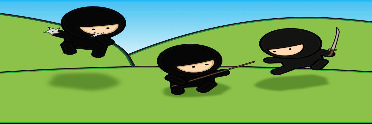 Ninja_Hosting's profile banner image