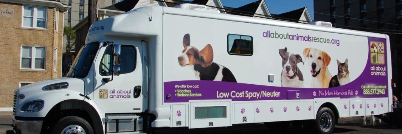 All About Animals banner