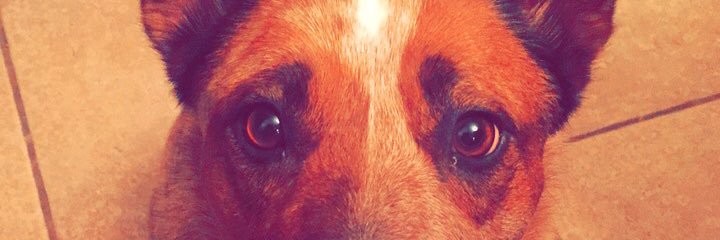 draina13's profile banner image