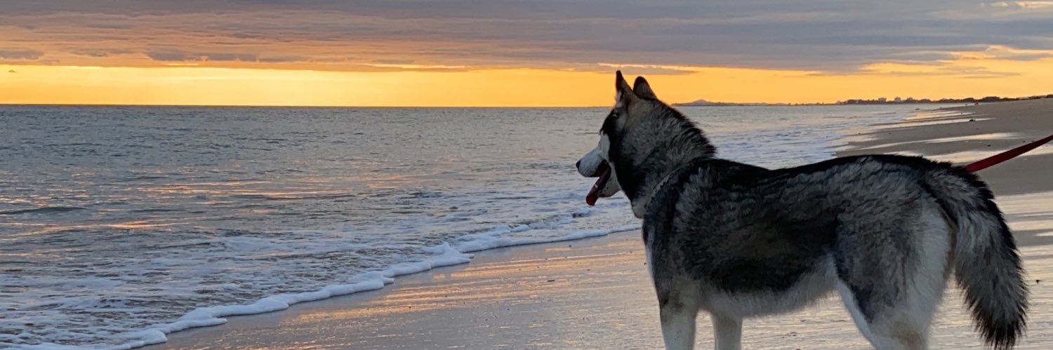 sarayGF7's profile banner image
