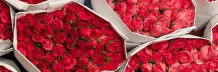 mayyouseef's profile banner image