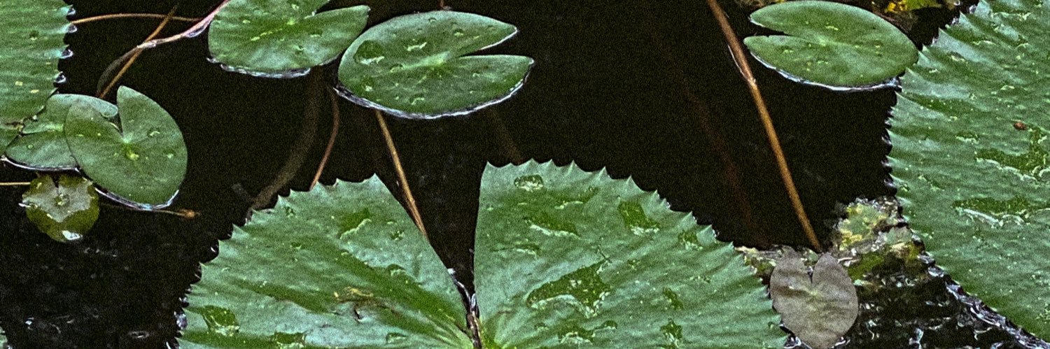 ravenucleicacid's profile banner image