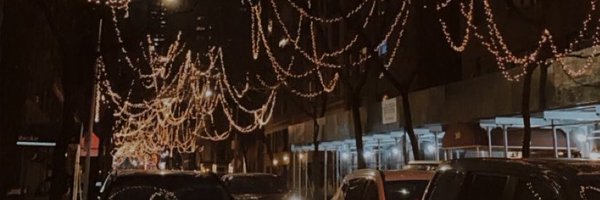 MirnesaAlemic Profile Banner