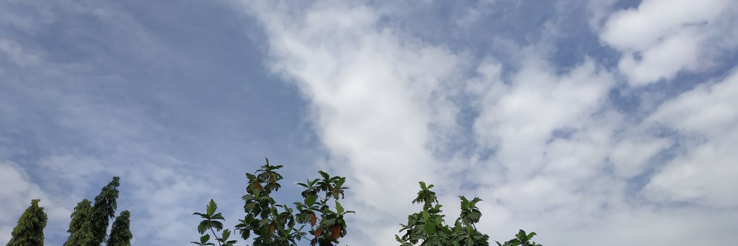 brownmaple_wp's profile banner image
