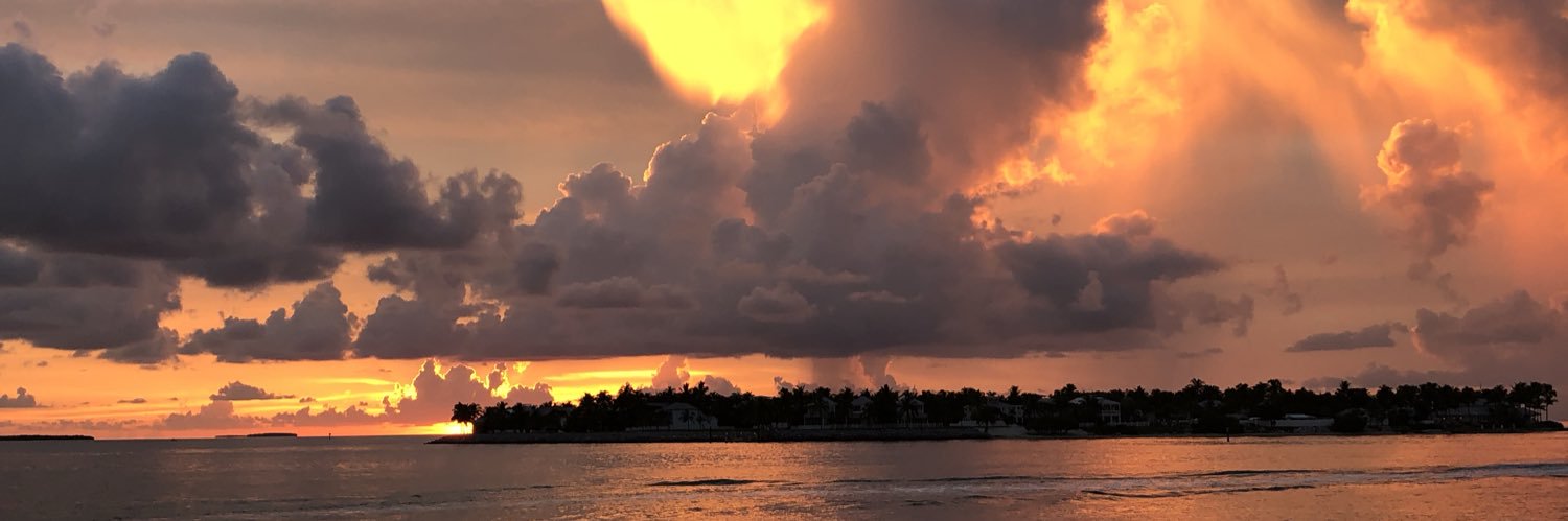 dannyfish_'s profile banner image