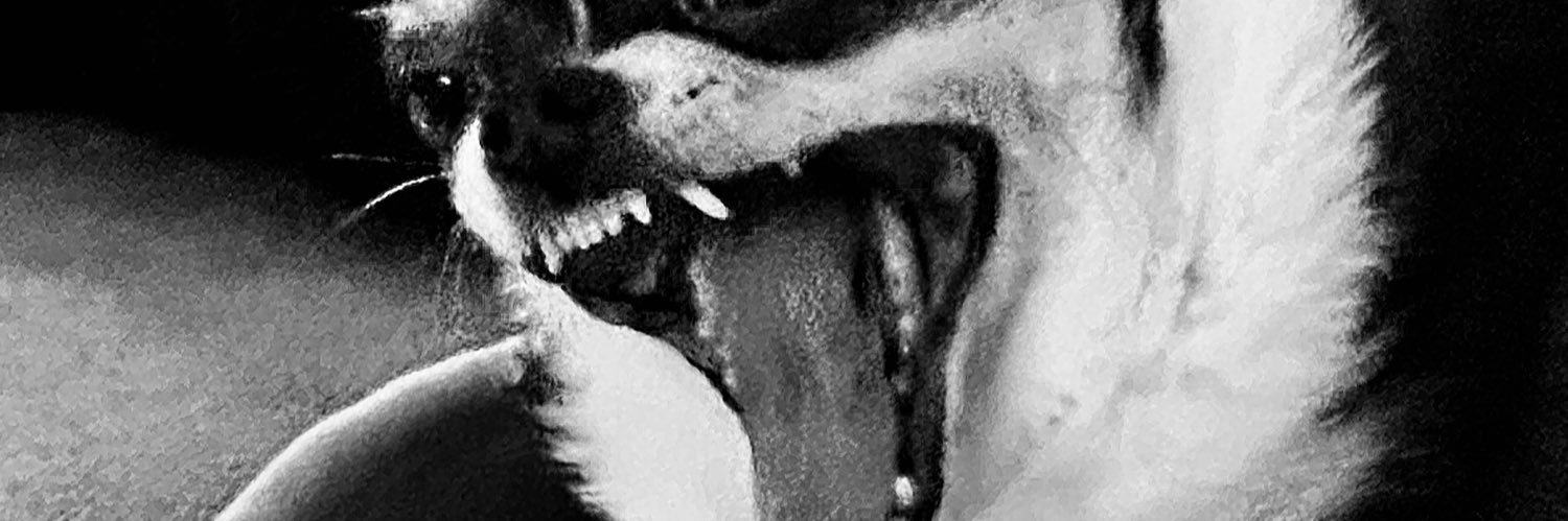 _unicornpunk's profile banner image