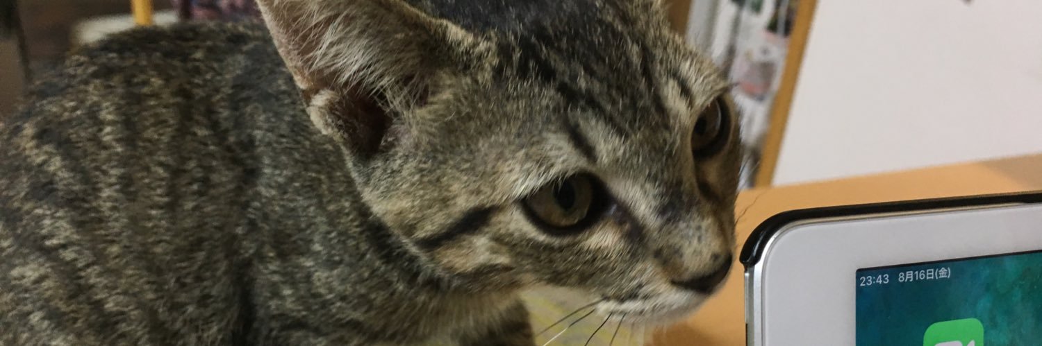 dodotch's profile banner image