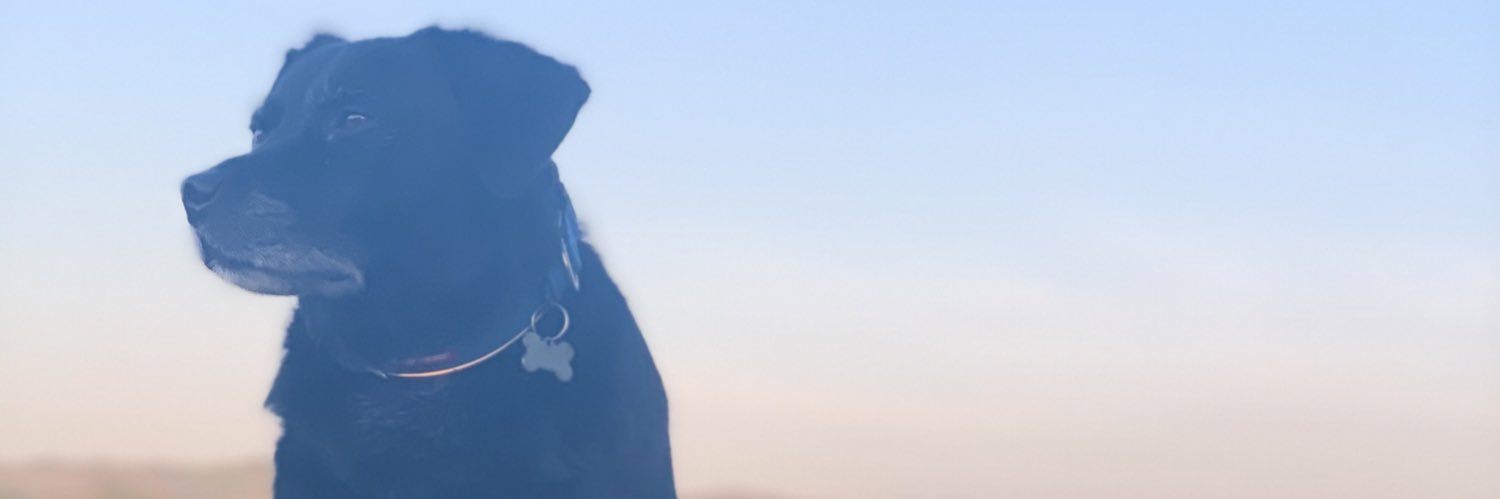 Alex_jones7's profile banner image