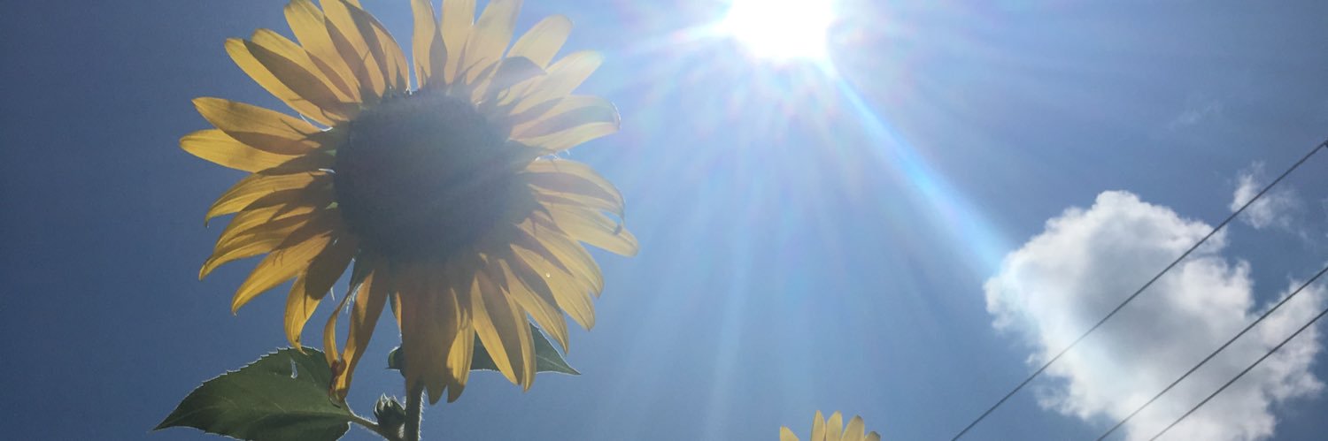 hannah_testa's profile banner image