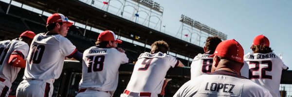 BaseballFactory Profile Banner