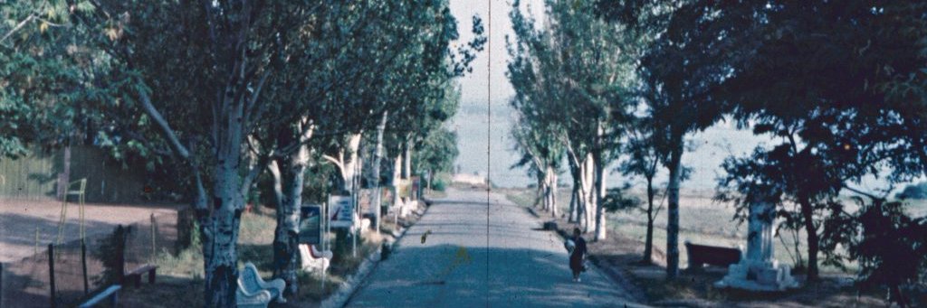 ipanemavibe's profile banner image