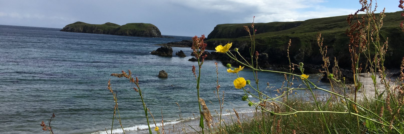 Linsey Stewart banner