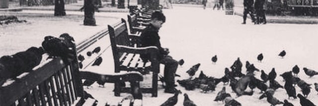 kfayadl3's profile banner image