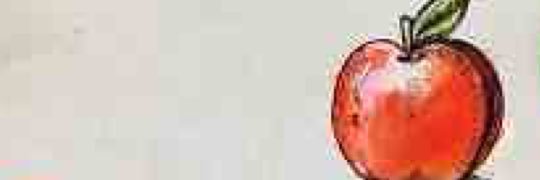 RegalAppleWhite's profile banner image