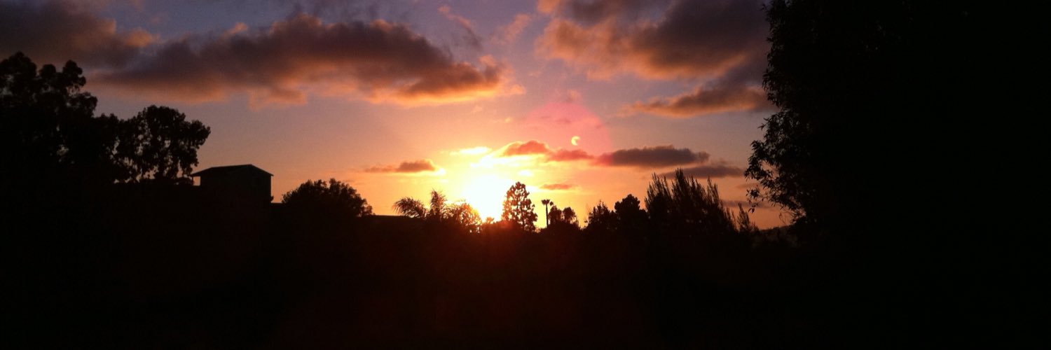 Summersurfs's profile banner image