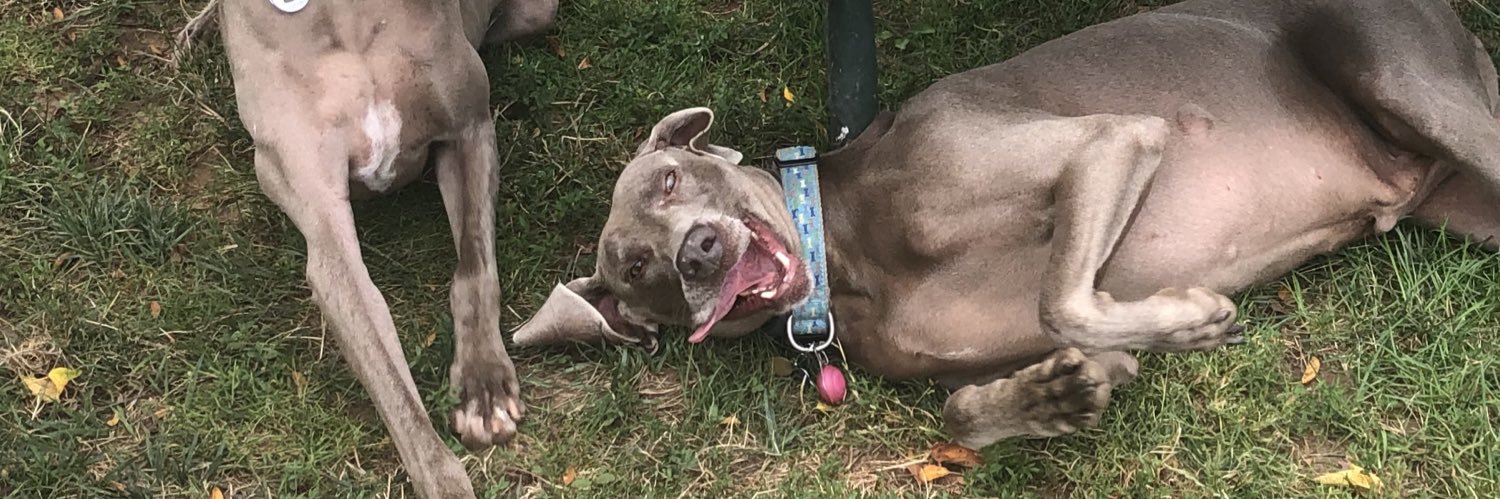 Spencer’s Dad banner