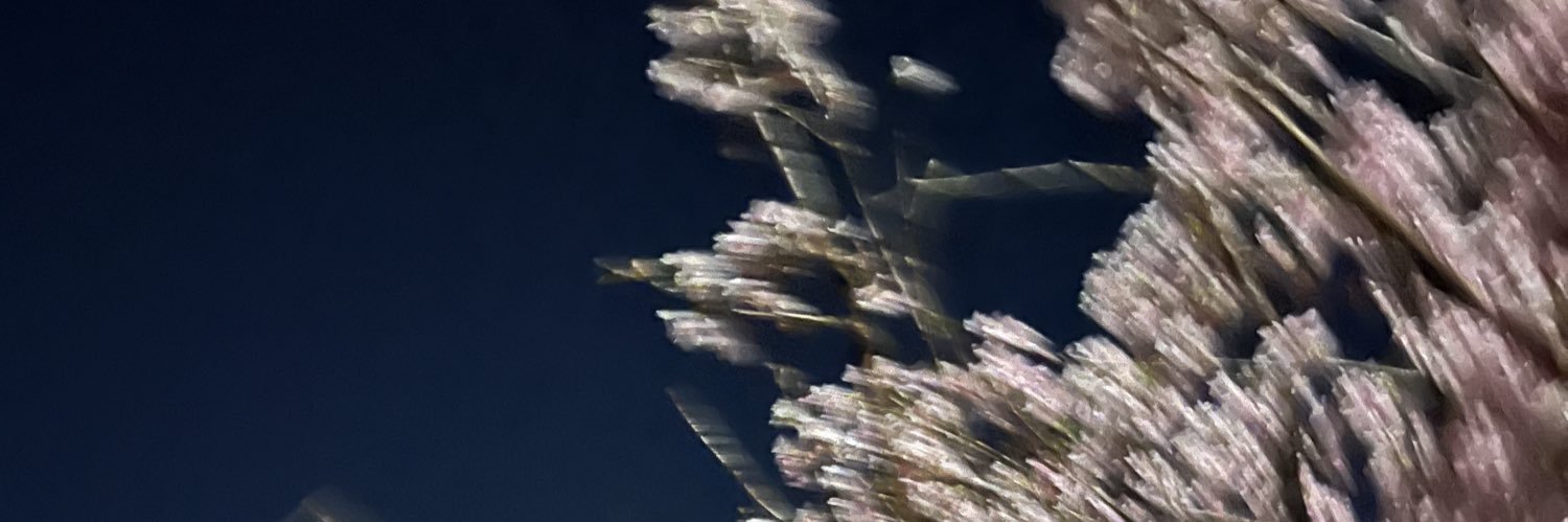 ohagon_'s profile banner image
